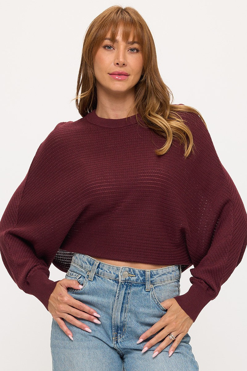 Red Wine Batwing Sleeve Crop Sweater