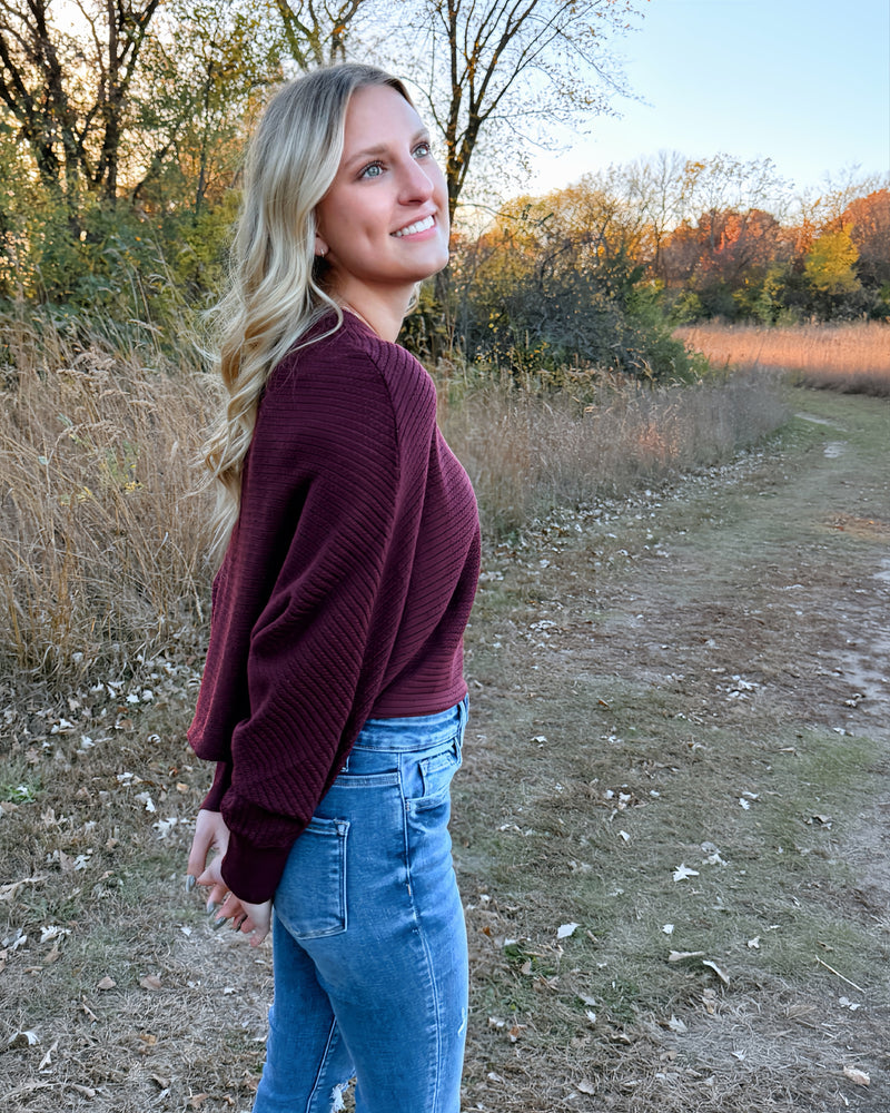Red Wine Batwing Sleeve Crop Sweater